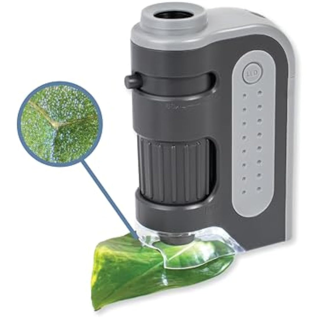 Carson MicroBrite Plus 60-120x LED Pocket Microscope - Grey STEM Toy