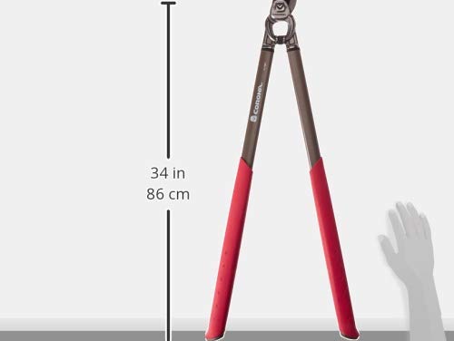 Corona Pro Cut Bypass Loppers – Forged Steel 2" Cut Capacity Pruning Tool