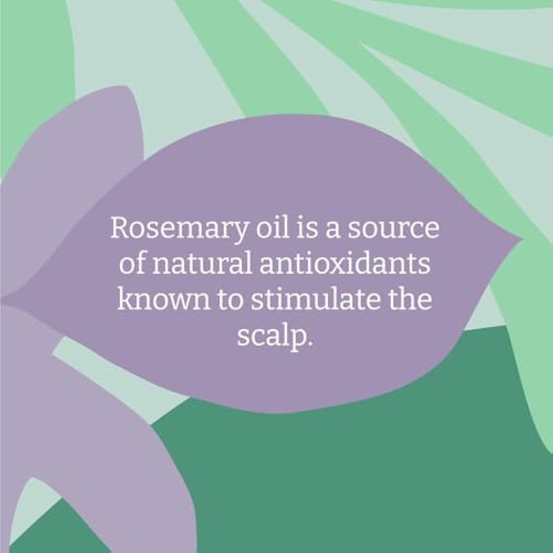 Faith In Nature Rosemary Conditioner – Natural Stimulating Vegan, 400ml