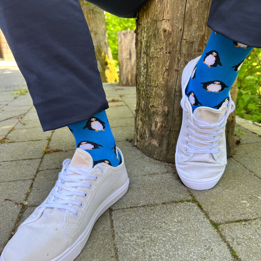 Swole Panda Penguin Bamboo Socks – Soft & Sustainable Arctic Blue