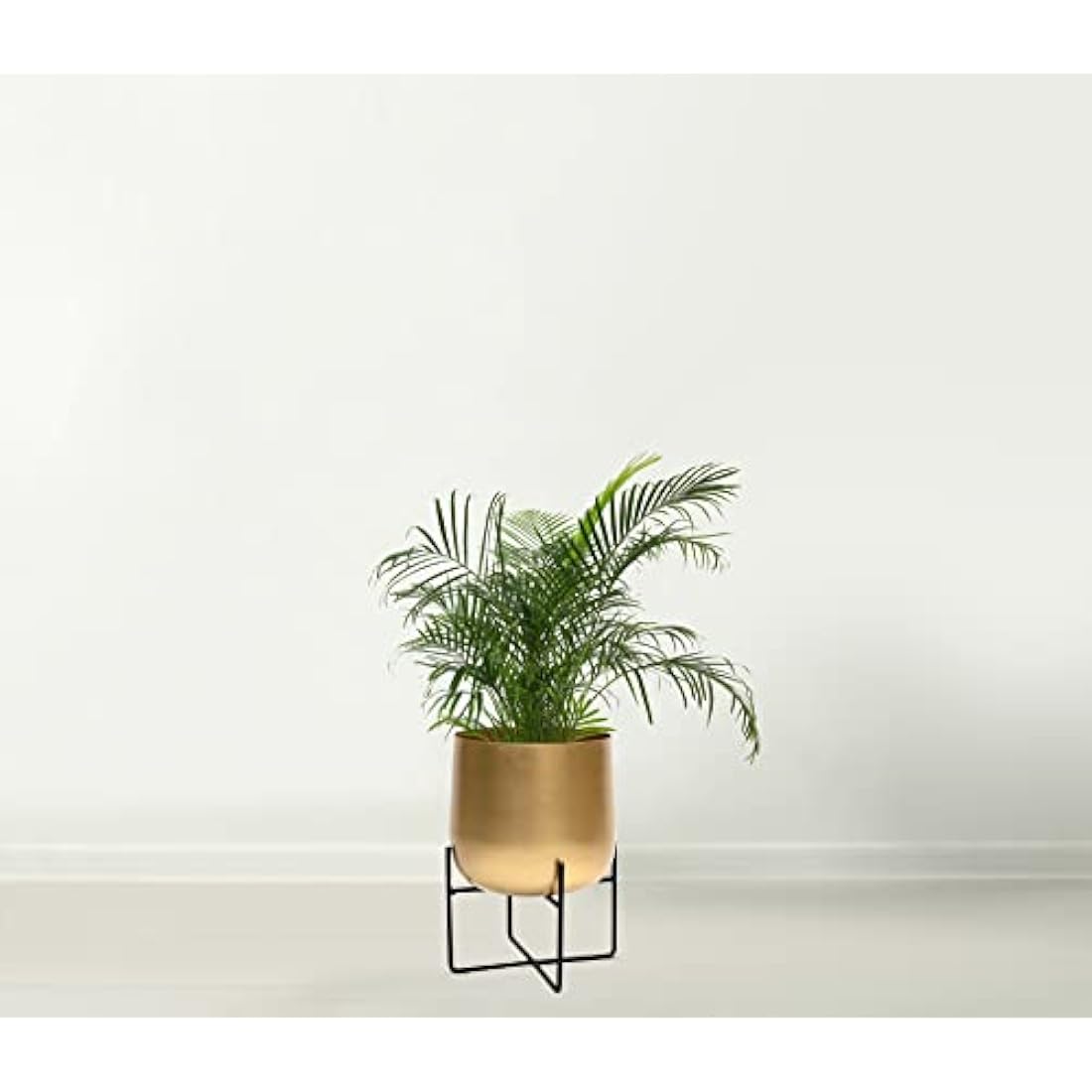 Gold Metal Plant Pot with Black Stand – 20cm Indoor Planter