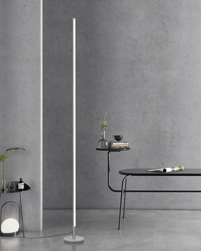 TACAHE Minimalist Corner Floor Lamp | Dimmable LED Mood Light - Silver