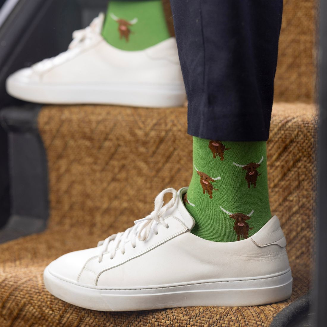 Swole Panda Highland Cow Bamboo Socks – Soft Sustainable Novelty Socks