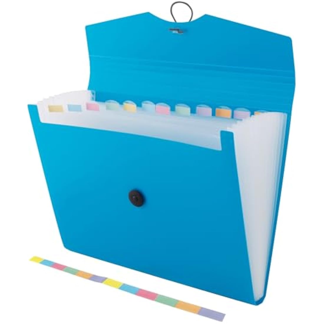 D.RECT A4 Expanding File Folder | 12-Pocket Document Organiser - Blue