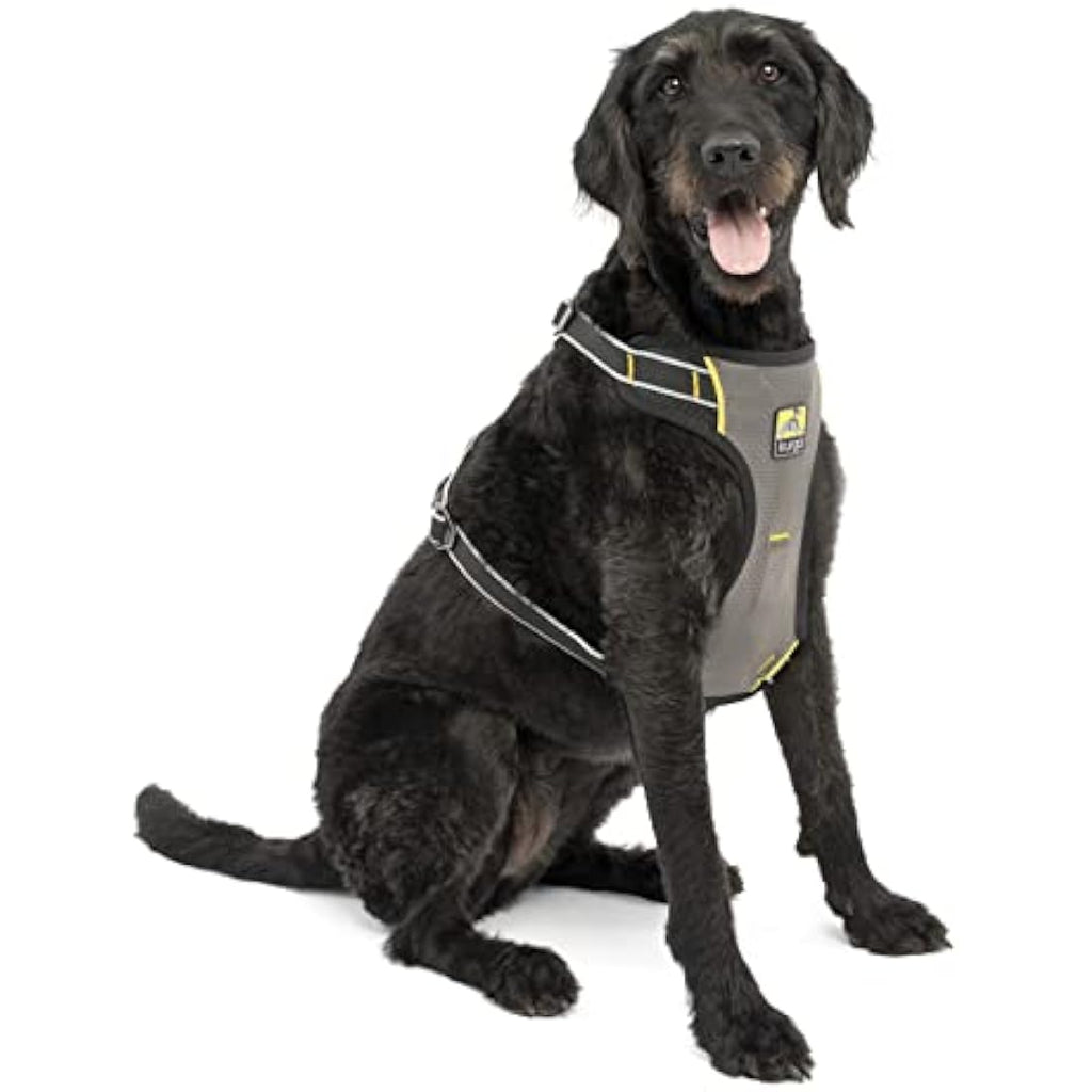 Kurgo Impact Dog Car Harness – Crash Tested Safety Vest, Large, Black