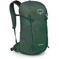 Osprey Skarab 22 Hiking Backpack – Tundra Green AirScape Daypack