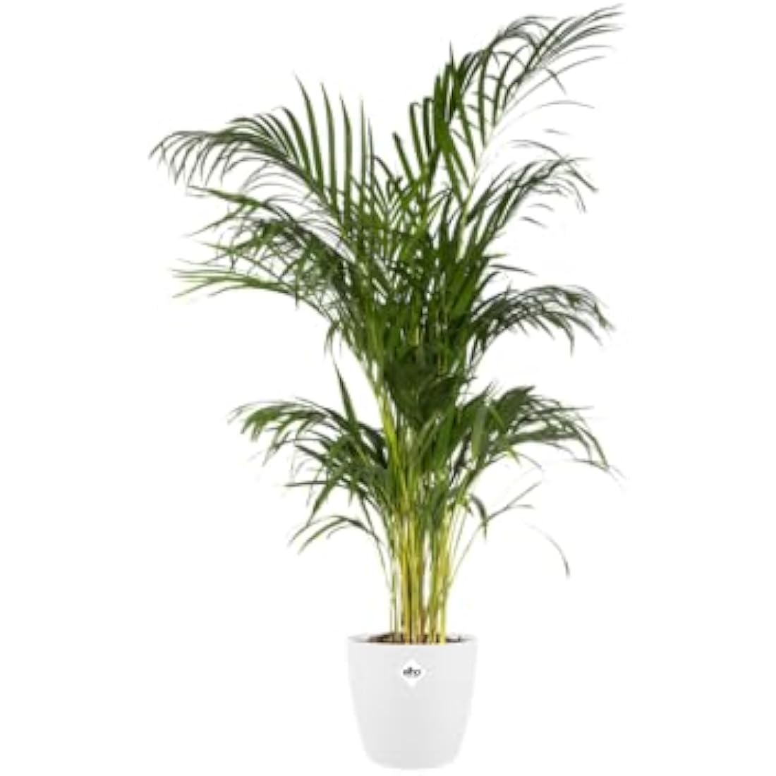 Elho Brussels Round Indoor Flower Pot – Recycled Plastic – White 22cm