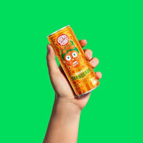 Karma Drinks Organic Orangeade – Fairtrade Fizzy Soft Drink, 24 x 250ml