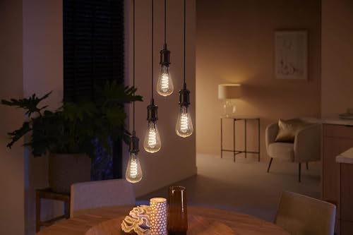 Philips Hue White Ambiance ST72 Giant Filament Smart LED Bulb | E27