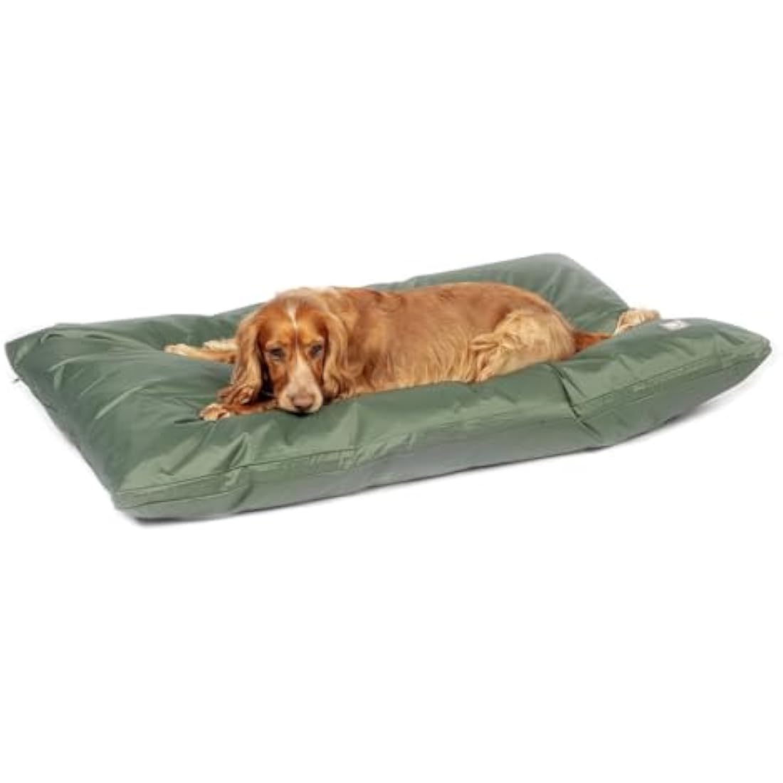 Danish Design County Green Waterproof Dog Bed – Heavy Duty Wipe Clean