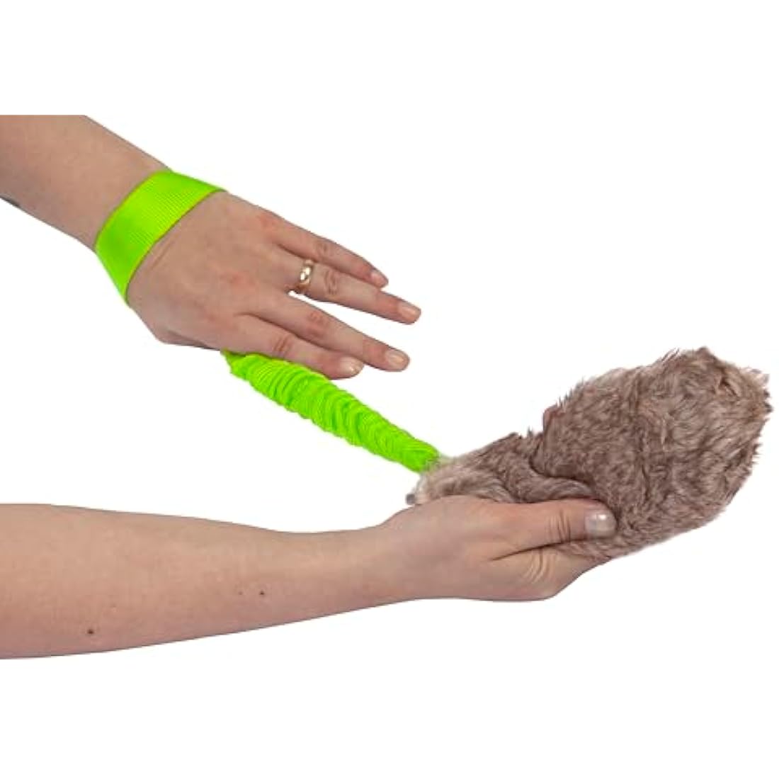 Dingo Bungee Dog Chaser Toy | Squeaky Artificial Fur Tug for Agility