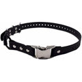 Educator Biothane Bungee Dog Collar | Waterproof & Odorproof | 1-Inch Black