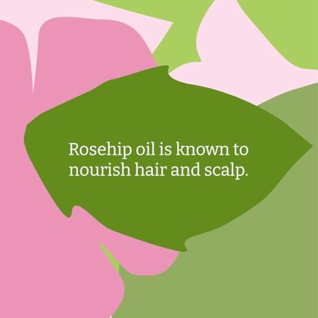 Faith In Nature Wild Rose Shampoo - Nourishing Natural Haircare - 5L Refill