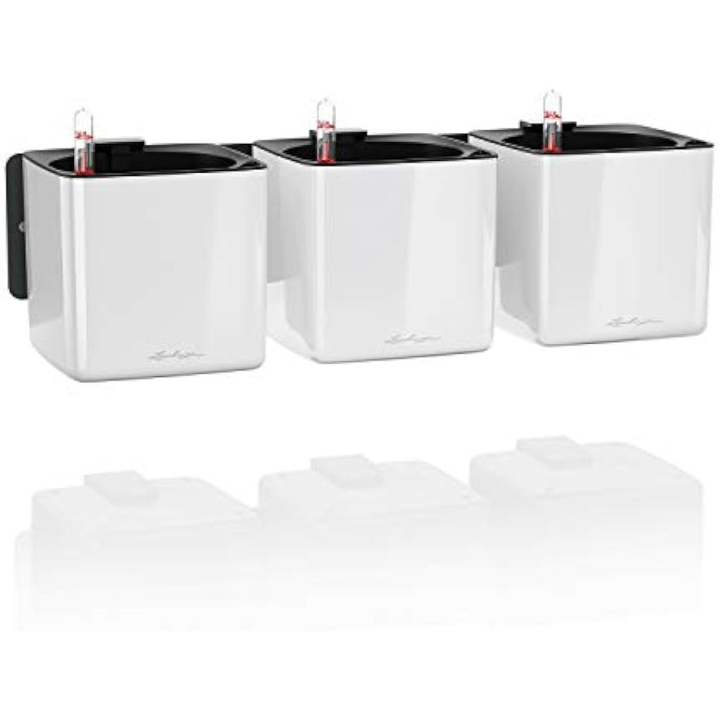 LECHUZA Self-Watering Indoor Green Wall Kit | Glossy White Herb Planter