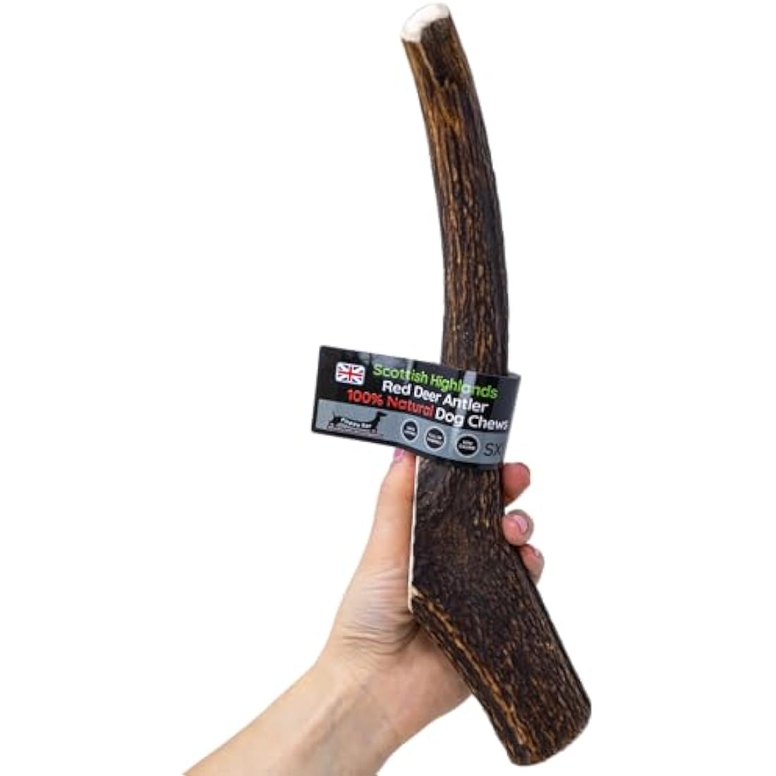 Scottish Deer Antler Dog Chew – Natural Super XL (350-450g)