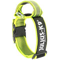 Julius-K9 Color and Gray Dog Collar with Handle - Neon-Gray, 50mm