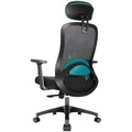 Durrafy Ergonomic Mesh Office Chair – High Back Desk Chair with Lumbar Support