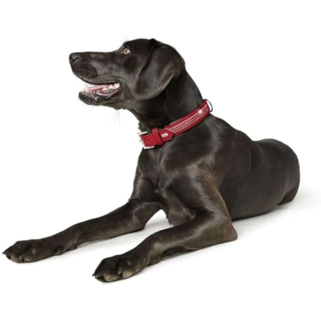 Hunter Softie Deluxe Red Leather Dog Collar with Swarovski Crystals