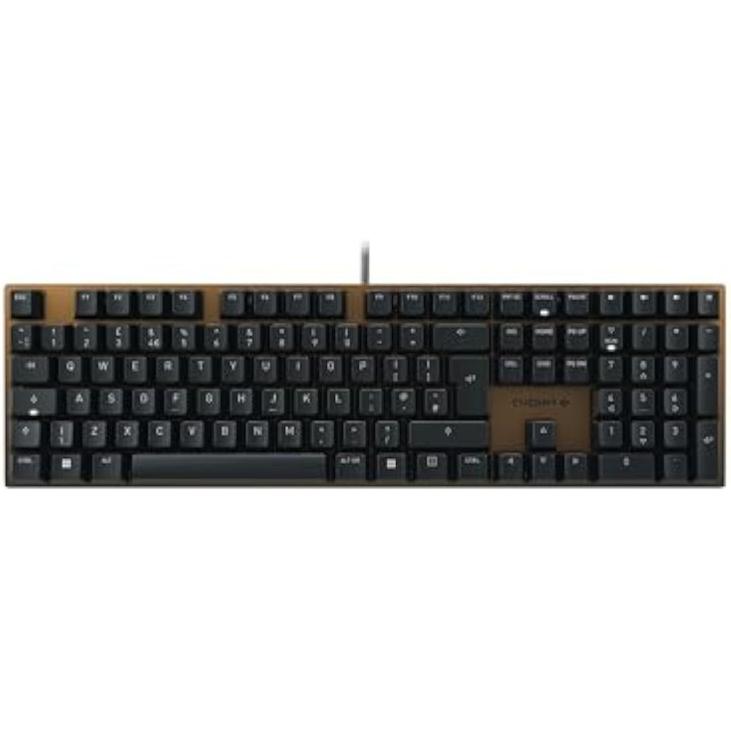 CHERRY KC 200 MX Mechanical Office Keyboard | MX2A Brown Switches