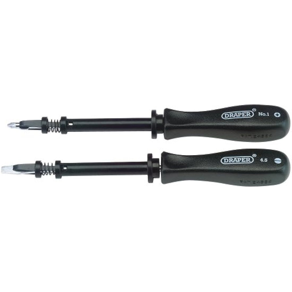 Draper Expert 2-Piece SVCM Steel Mechanics Screwdriver Set