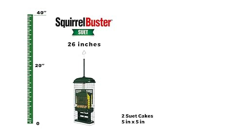 Squirrel Buster Suet Bird Feeder – Squirrel-Proof with 2 Cake Trays