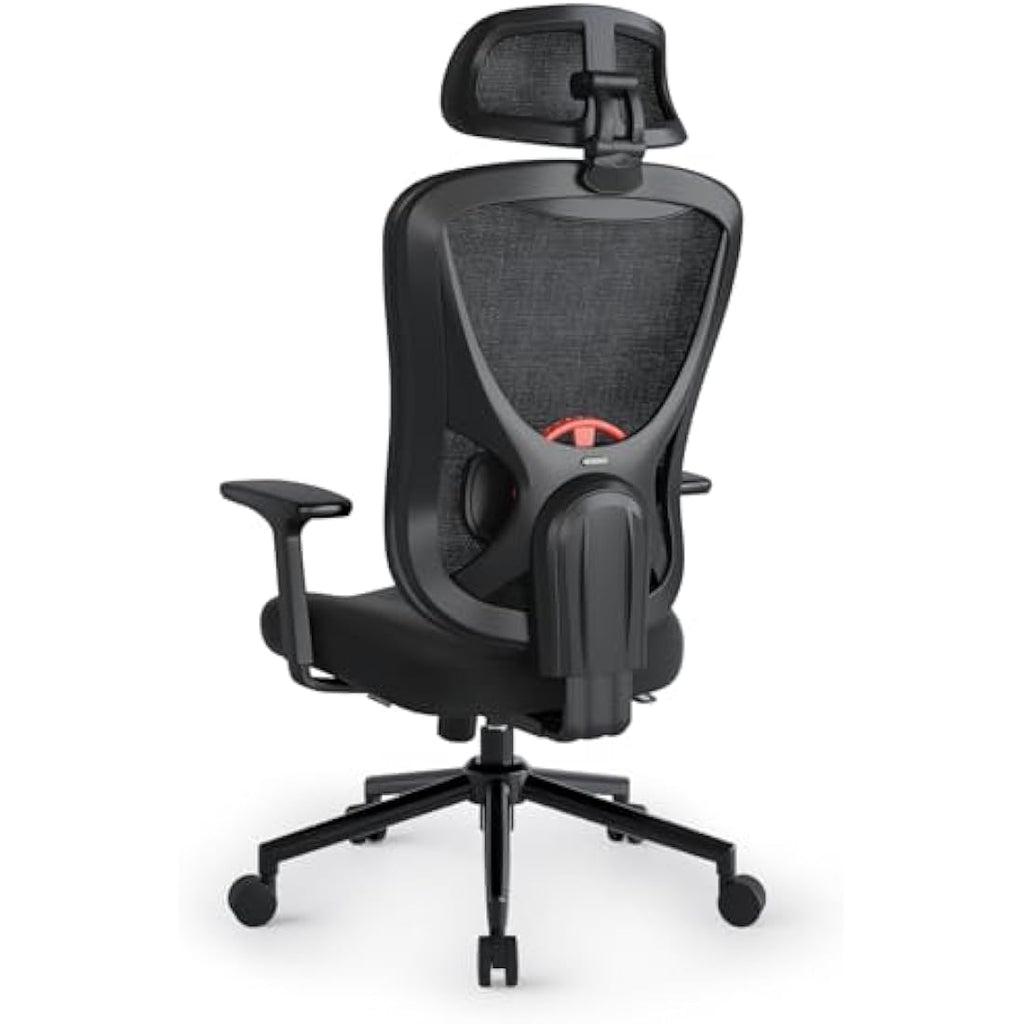 Eucladoceros Ergonomic Mesh Office Chair | 3D Lumbar Support & Armrests