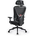 Eucladoceros Ergonomic Mesh Office Chair | 3D Lumbar Support & Armrests