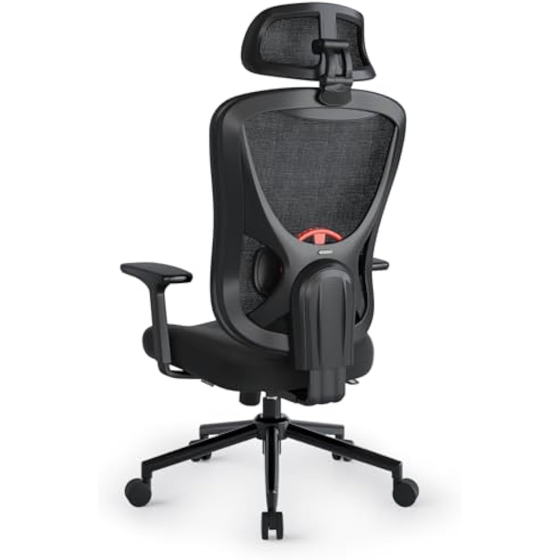 Eucladoceros Ergonomic Mesh Office Chair | 3D Lumbar Support & Armrests