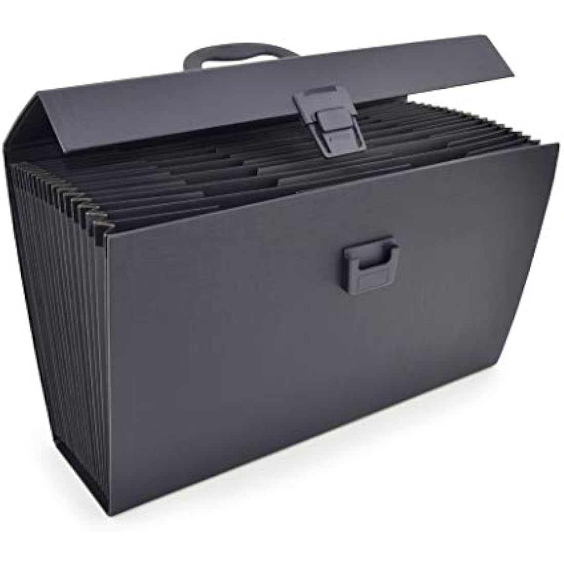 Rapesco 19-Part Expanding Box File Document Organiser, A4+, Black