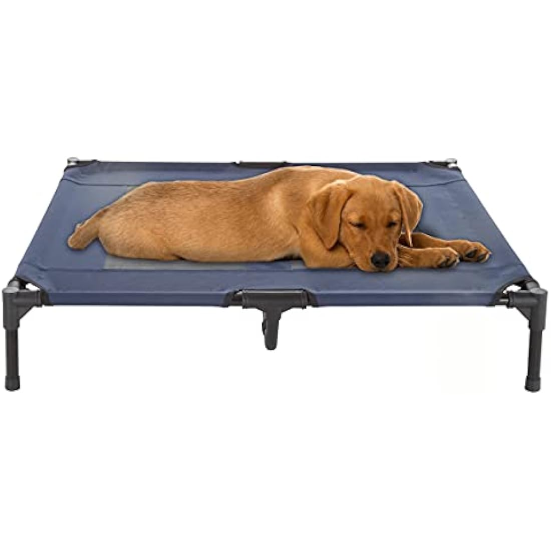PETMAKER Elevated Dog Bed – Large Portable Cooling Pet Cot with Case, Blue
