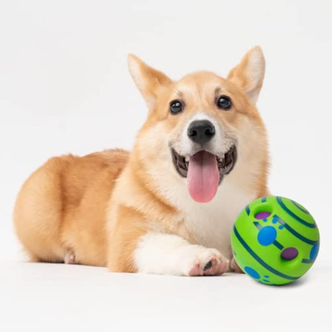 Jolof Store Interactive Giggle Ball – Squeaky Dog Toy for Boredom