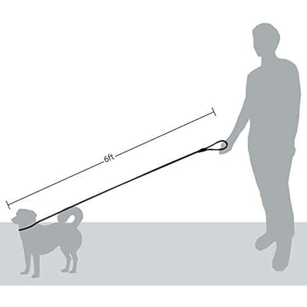 Reflective Dog Rope Leash – Durable Heavy Duty Slip Lead, 6ft
