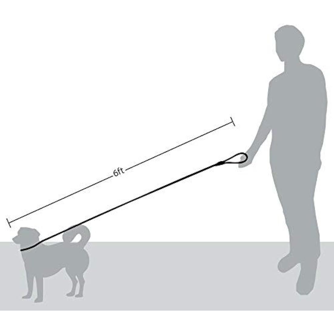 Reflective Dog Rope Leash – Durable Heavy Duty Slip Lead, 6ft