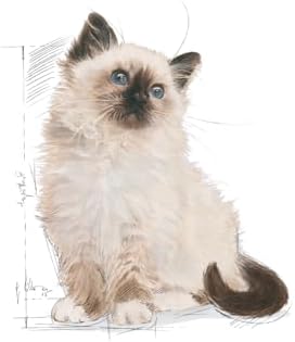 Royal Canin Kitten Dry Cat Food – Growth Support & Digestive Health, 4kg