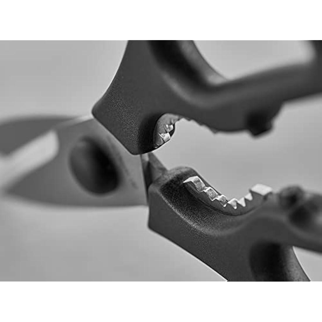 WÜSTHOF Kitchen Shears – High Carbon Stainless Steel Come Apart, Black