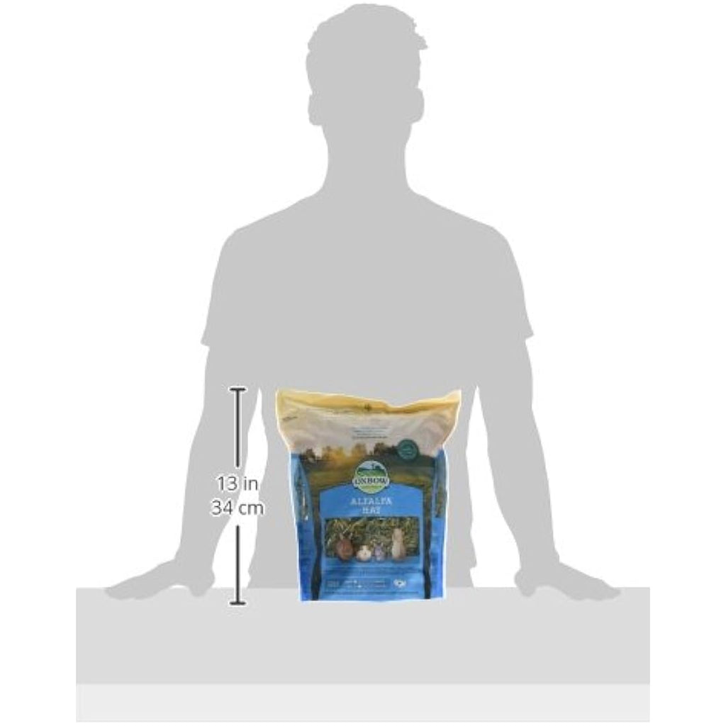 Oxbow Alfalfa Hay – High Protein Small Pet Food for Growth, 425 g
