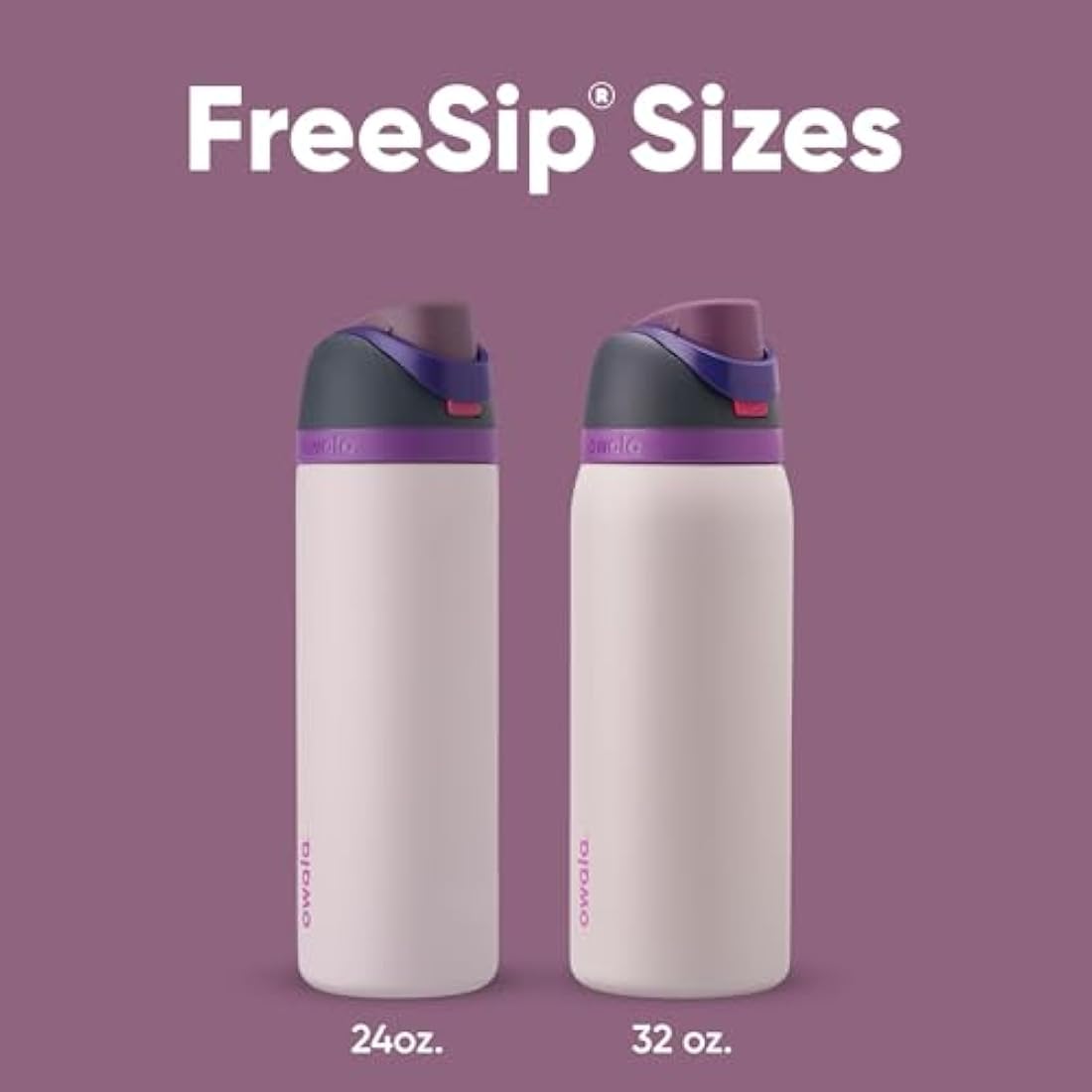 Owala FreeSip Insulated Stainless Steel Water Bottle | 710ml Dreamy Field