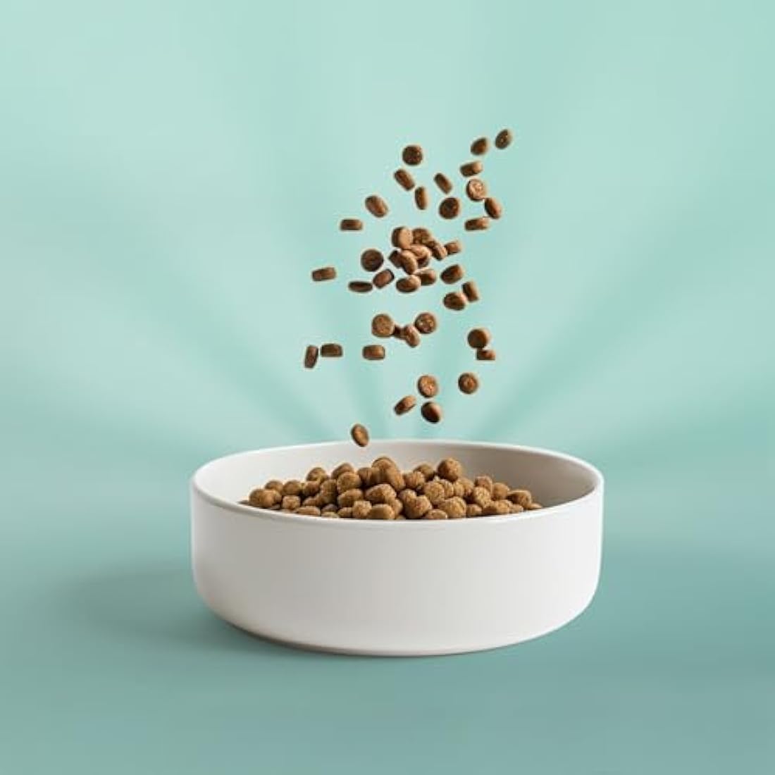 OMNI Hypoallergenic Plant-Based Dry Dog Food | Vet Formulated - 10kg