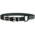 Educator Bungee Dog Training Collar | 3/4" Waterproof Biothane – Black