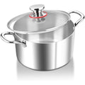 Jolof Store 5.8L Tri-Ply Stainless Steel Stock Pot with Glass Lid