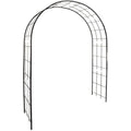 Louis Mill Metal Garden Arch for Climbing Plants - Antique Iron