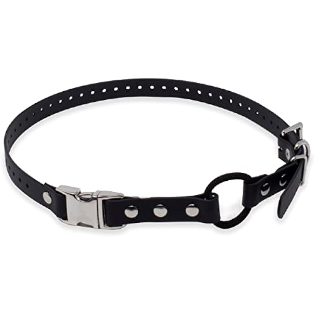 Educator Bungee Dog Collar - 3/4" Biothane Waterproof Training Collar