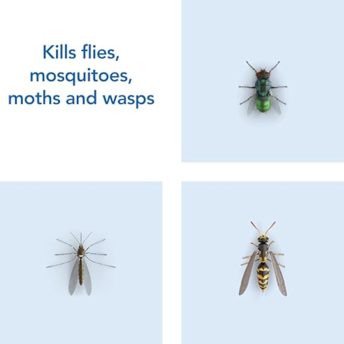 Raid Rapid Action Fly & Wasp Killer Spray, Indoor Use - 6 x 300ml