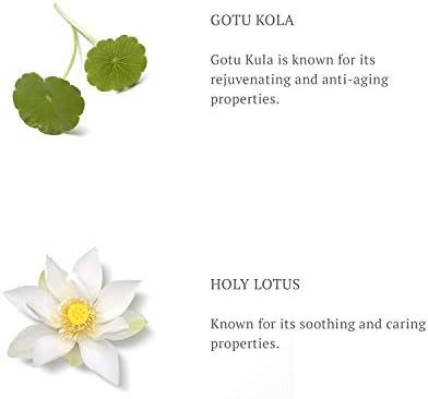 Rituals The Ritual of Namasté Restoring Night Balm - Ageless - 50 ml