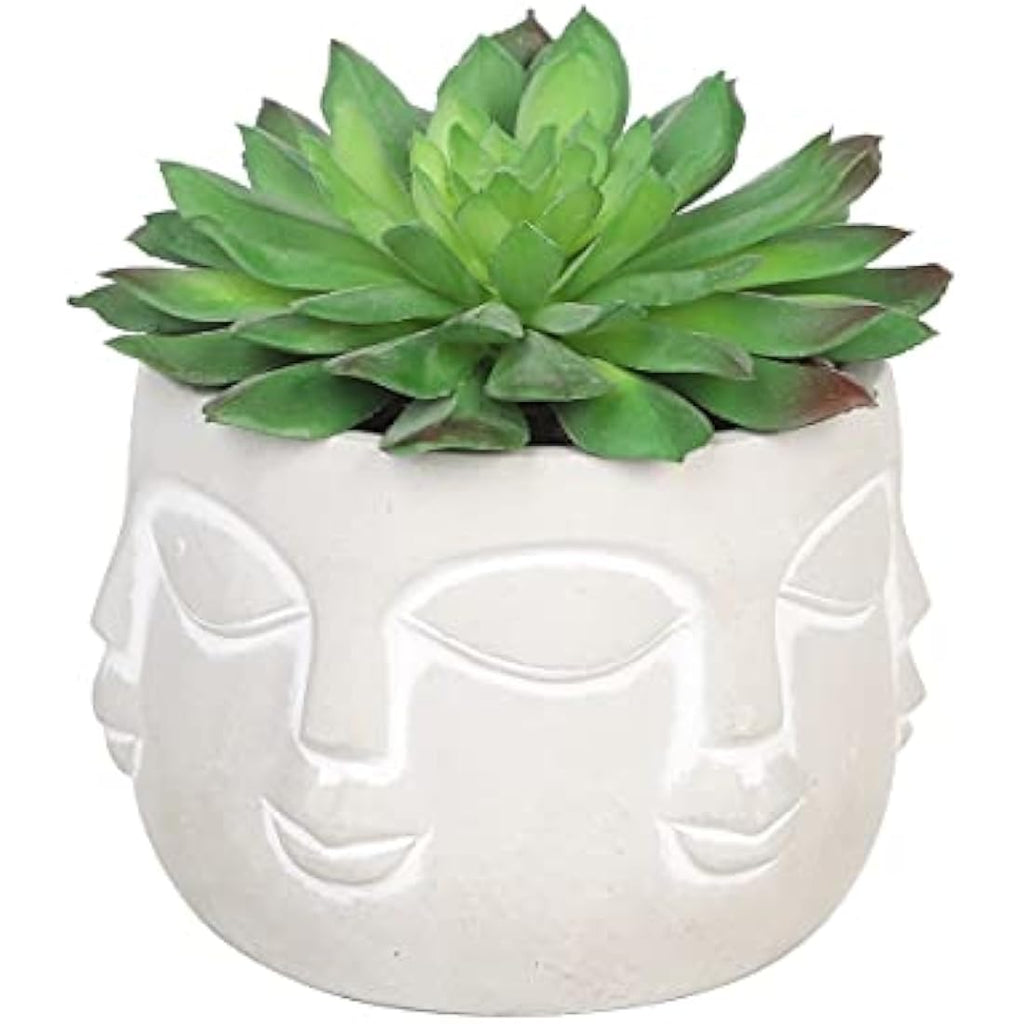 Jolof Store Halo Green Artificial Succulent in Faux Faces Pot – Small