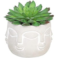 Jolof Store Halo Green Artificial Succulent in Faux Faces Pot – Small