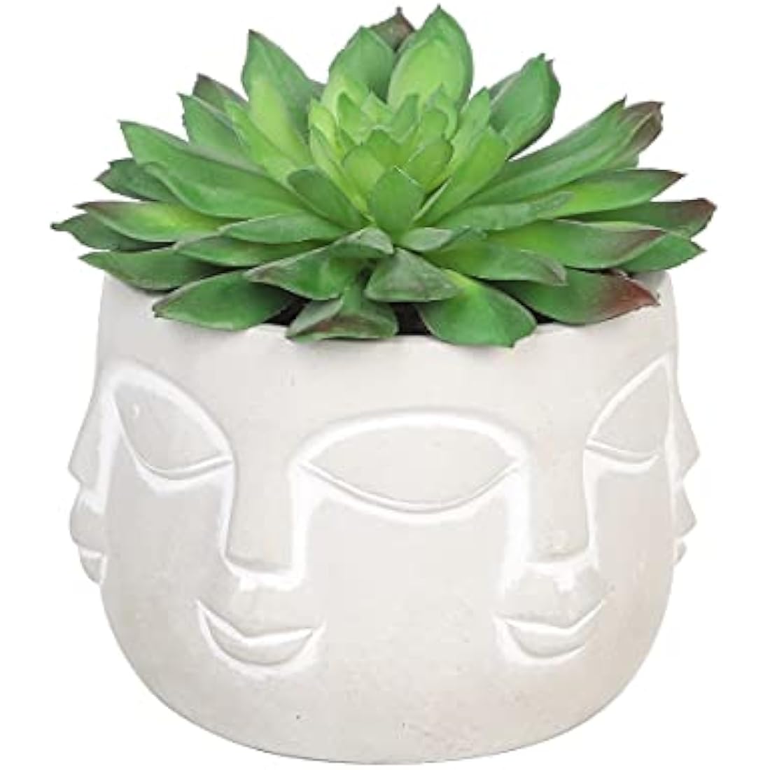 Jolof Store Halo Green Artificial Succulent in Faux Faces Pot – Small