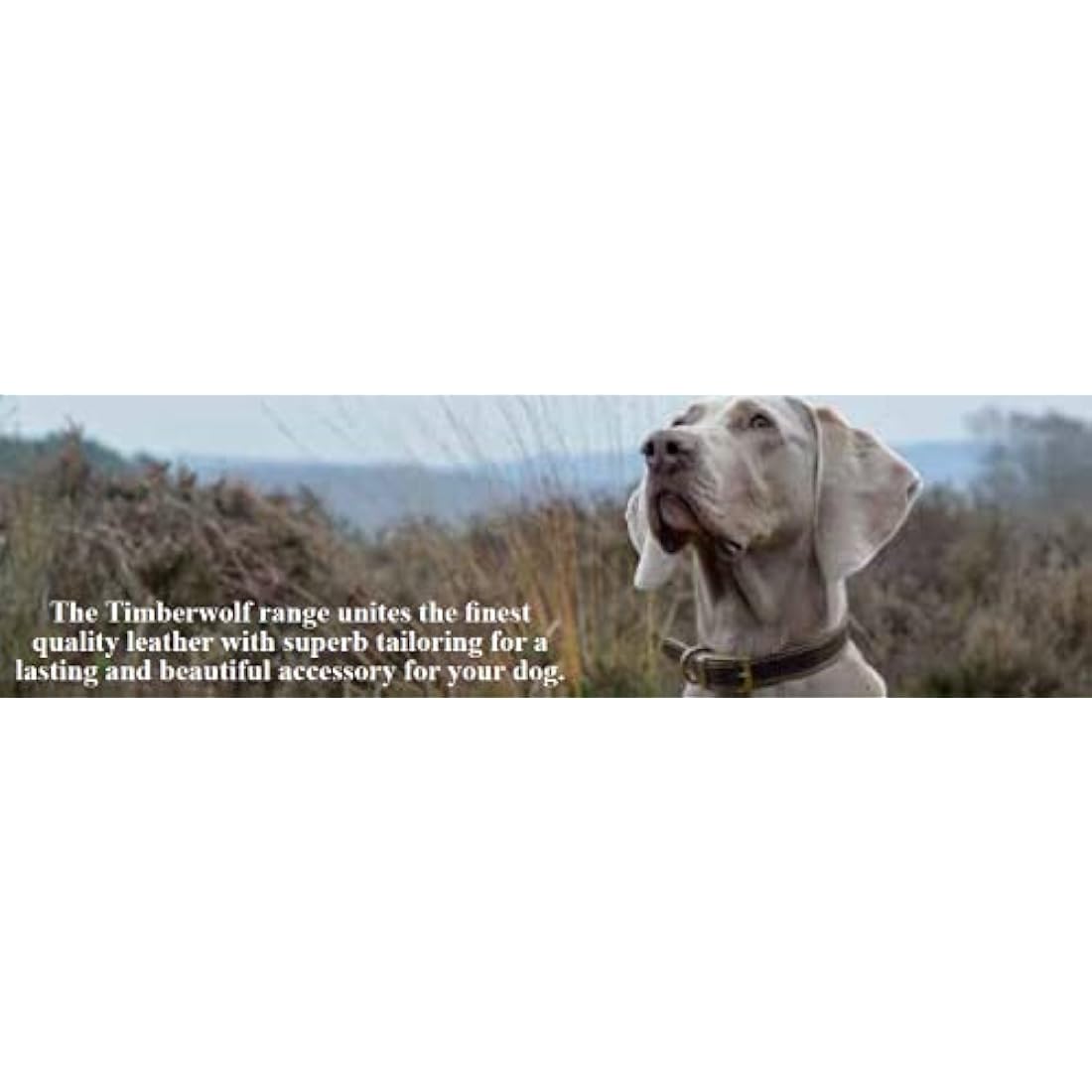 Ancol Timberwolf Sable Leather Dog Lead – Heavy Duty Handcrafted Leash