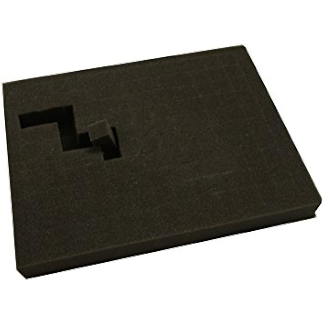 Tabletop Tyrant Defender Figure Case | Holds 180 Models & Pluck Foam