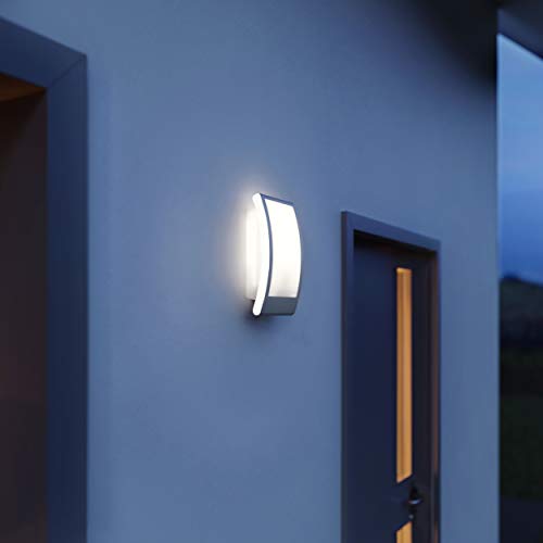 Steinel L 22 Outdoor Wall Light – Anthracite Stainless Steel E27